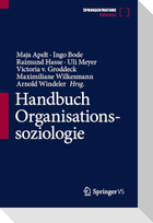 Handbuch Organisationssoziologie