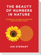 The Beauty of Numbers in Nature: Mathematical Patterns and Principles from the Natural World
