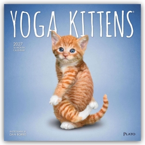 Publishers, Browntrout. Yoga Kittens - Kätzchen Yoga 2027 - 16-Monatskalender - Original BrownTrout-Kalender [Mehrsprachig] [Kalender]. Browntrout Verlags GmbH, 2026.