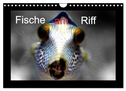 Fische am Riff (Wandkalender 2025 DIN A4 quer), CALVENDO Monatskalender