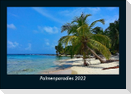 Palmenparadies 2022 Fotokalender DIN A5