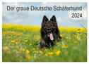 Der graue Deutsche Schäferhund (Wandkalender 2024 DIN A3 quer), CALVENDO Monatskalender