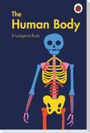 A Ladybird Book: The Human Body