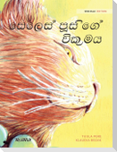 The Healer Cat (Sinhala)