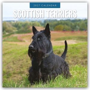 Red, Robin. Scottish Terrier - Scotchterrier 2027 - 16-Monatskalender - Original Red Robin Publishing Ltd-Kalender [Mehrsprachig] [Kalender]. Browntrout Verlags GmbH, 2026.
