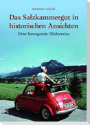 Das Salzkammergut in historischen Ansichten
