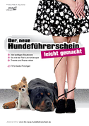 Der neue Hundeführerschein - leicht gemacht!