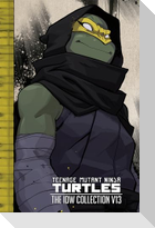 Teenage Mutant Ninja Turtles: The IDW Collection Volume 13