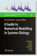 A Guide to Numerical Modelling in Systems Biology