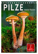 Pilze - kleine Riesen (Tischkalender 2024 DIN A5 hoch), CALVENDO Monatskalender