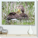 Emotionale Momente: Die Graugans. (Premium, hochwertiger DIN A2 Wandkalender 2022, Kunstdruck in Hochglanz)