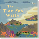 The Tide Pool Waits