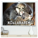 Knuffige Koalabären (hochwertiger Premium Wandkalender 2024 DIN A2 quer), Kunstdruck in Hochglanz