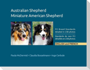Australian Shepherd, Miniature American Shepherd