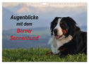 Augenblicke mit dem Berner Sennenhund (Wandkalender 2025 DIN A4 quer), CALVENDO Monatskalender