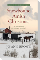 Snowbound Amish Christmas