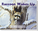 Raccoon Wakes Up
