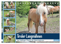 Tiroler Langmähnen (Tischkalender 2025 DIN A5 quer), CALVENDO Monatskalender