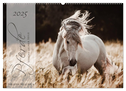 Pferde - Spiegel deiner Seele (Wandkalender 2025 DIN A2 quer), CALVENDO Monatskalender