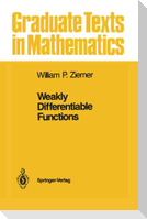 Weakly Differentiable Functions