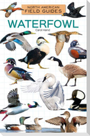 Waterfowl