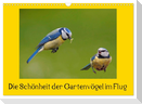 Die Schönheit der Gartenvögel im Flug (Wandkalender 2024 DIN A3 quer), CALVENDO Monatskalender