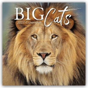 Gifted, The. Big Cats - Raubkatzen - Löwen Tiger Geparden Leoparden 2027 - 16-Monatskalender - Original The Gifted Stationery Co. Ltd [Mehrsprachig] [Kalender]. Browntrout Verlags GmbH, 2026.