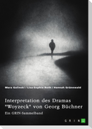 Interpretation des Dramas "Woyzeck" von Georg Büchner. Verschiedene Ansätze