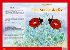 Fischer-Nagel, Heiderose / Andreas Fischer-Nagel. Natur-Kamishibai - Der Marienkäfere. Fischer-Nagel, Heiderose, 2019.