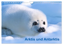 Arktis und Antarktis (Wandkalender 2024 DIN A4 quer), CALVENDO Monatskalender