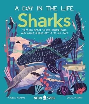 Jackson, Carlee / Neon Squid. Sharks (a Day in the Life) - What Do Great Whites, Hammerheads, and Whale Sharks Get Up to All Day?. St. Martin's Publishing Group, 2022.