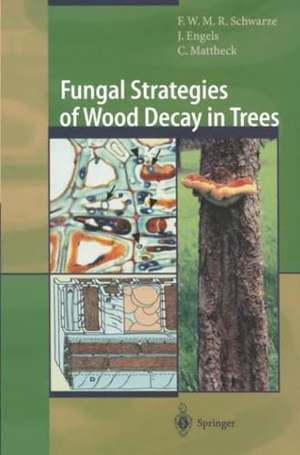 Schwarze, Francis W. M. R. / Mattheck, Claus et al. Fungal Strategies of Wood Decay in Trees. Springer Berlin Heidelberg, 2012.