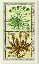 Piante di energia