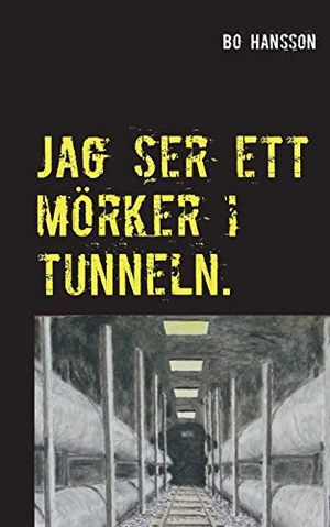 Hansson, Bo. Jag ser ett mörker i tunneln.. Books on Demand, 2015.