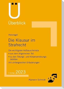 Die Klausur im Strafrecht