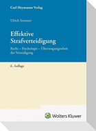 Effektive Strafverteidigung