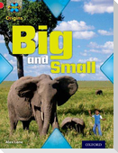 Project X Origins: Red Book Band, Oxford Level 2: Big and Small: Big and Small