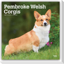 Pembroke Welsh Corgis - Pembroke Welsh Corgi 2027 - 16-Monatskalender