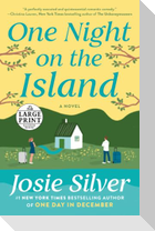One Night on the Island