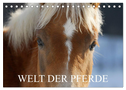 Welt der Pferde (Tischkalender 2025 DIN A5 quer), CALVENDO Monatskalender