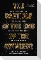 The Particle at the End of the Universe