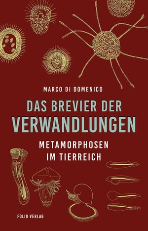 Domenico, Marco Di. Das Brevier der Verwandlungen - Metamorphosen im Tierreich. Folio Verlagsges. Mbh, 2023.