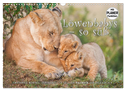 Emotionale Momente: Löwenbabys - so süß. (Wandkalender 2024 DIN A3 quer), CALVENDO Monatskalender