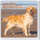 Golden Retrievers - Golden Retriever 2027 - 16-Monatskalender