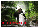 Regenwald ¿ Tiere im Dschungel (Tischkalender 2024 DIN A5 quer), CALVENDO Monatskalender