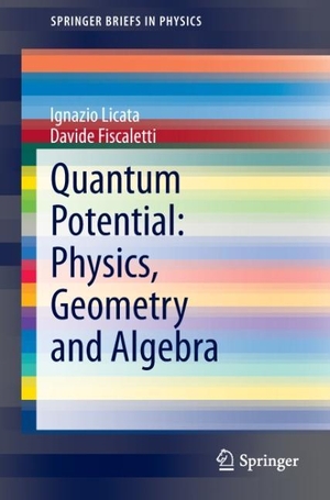 Fiscaletti, Davide / Ignazio Licata. Quantum Potential: Physics, Geometry and Algebra. Springer International Publishing, 2013.