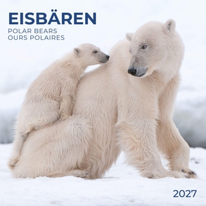Eisbären / Polar Bears 2027 - Kalender 2027. Tushita PaperArt GmbH, 2026.