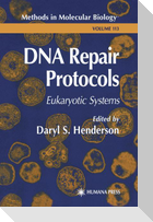DNA Repair Protocols