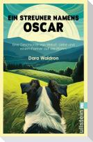 Ein Streuner namens Oscar