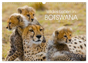 Wildes Leben in Botswana (Wandkalender 2024 DIN A3 quer), CALVENDO Monatskalender